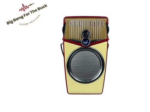 Beach boy transistor radio - boy,
