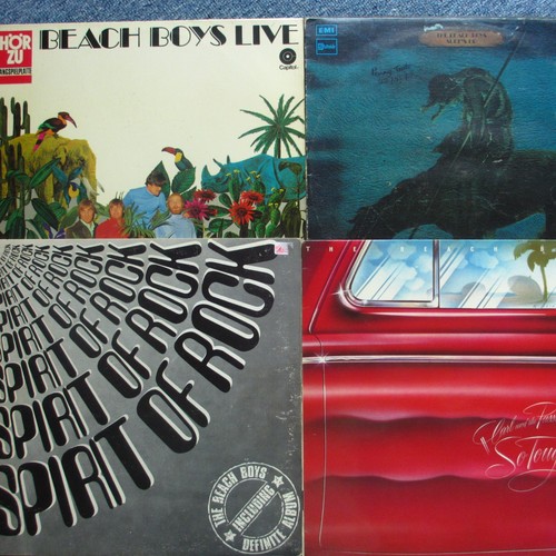 Beach boys kleine - beach,