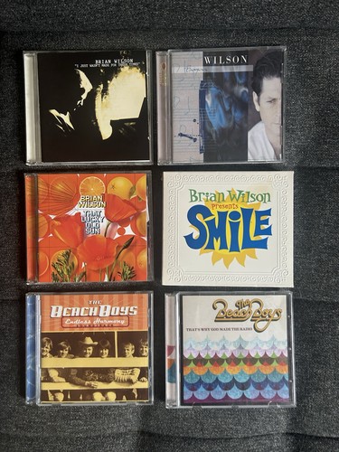 Brian wilson beach - wilson/, boy