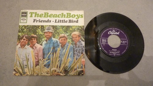 Vinyl the beach boys - vinyl,