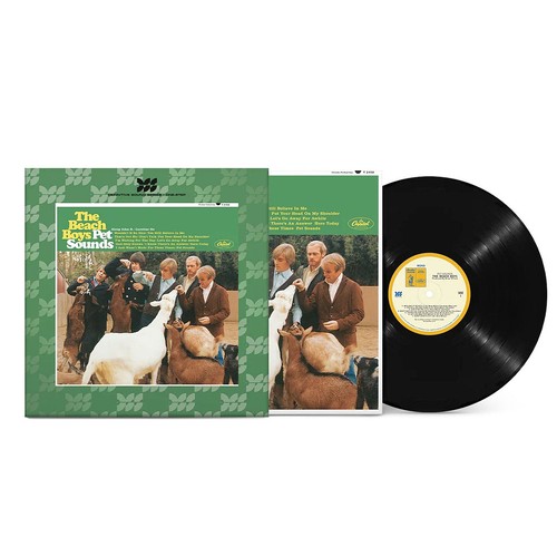 Beach boys pet - beach,