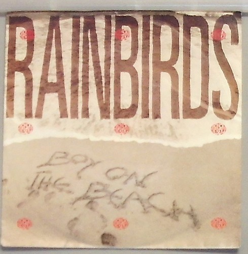 Rainbirds boy the beach - rainbirds,