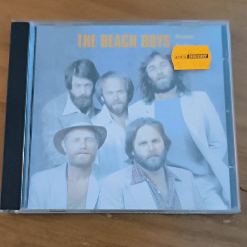 The beach boys - boys,